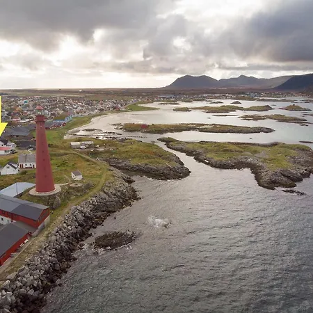 101 - Whale Safari * Andenes