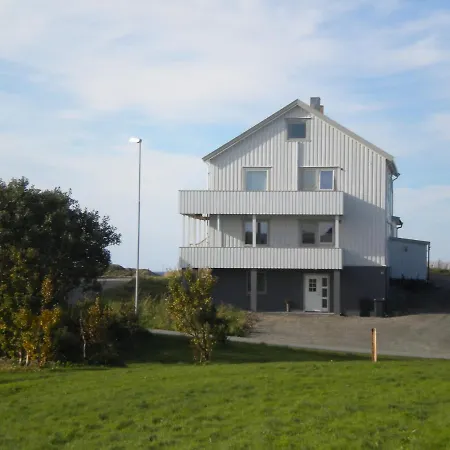 101 - Whale Safari Andenes