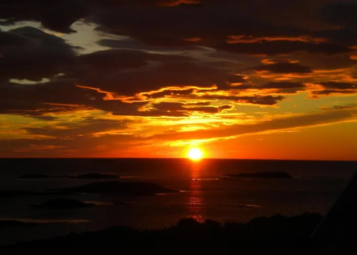 101 - Whale Safari * Andenes