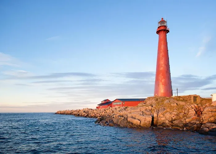 101 - Whale Safari Andenes