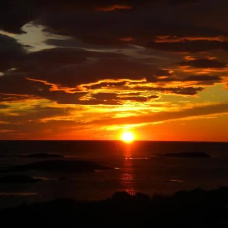 101 - Whale Safari * Andenes