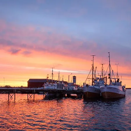 101 - Whale Safari Lägenhet