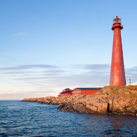 101 - Whale Safari Andenes