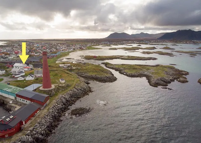 101 - Whale Safari * Анденес